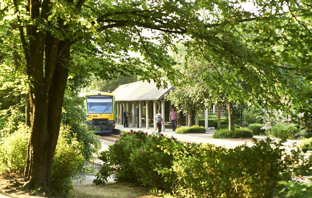 Hotel Rehwinkel à Bodenmais Extérieur photo